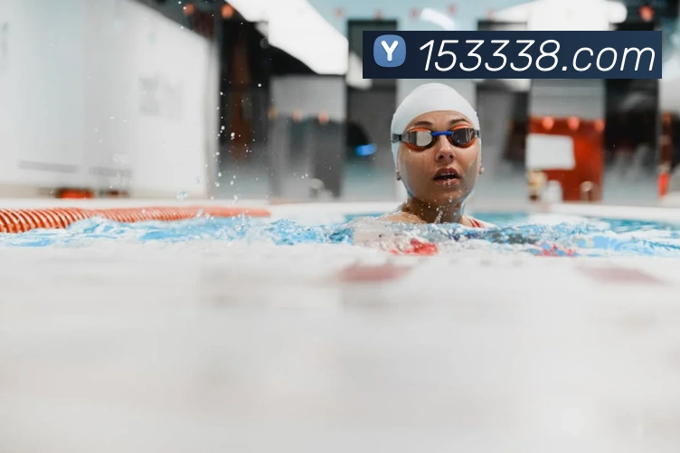 V66体育发展历程